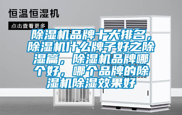 除濕機(jī)品牌十大排名，除濕機(jī)什么牌子好之除濕篇，除濕機(jī)品牌哪個(gè)好，哪個(gè)品牌的除濕機(jī)除濕效果好