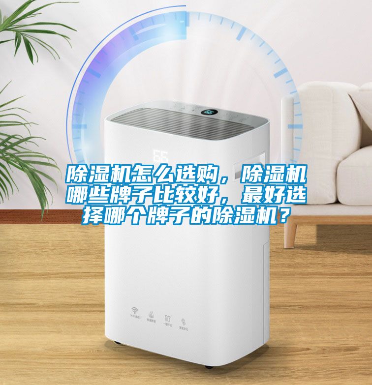 除濕機怎么選購，除濕機哪些牌子比較好，最好選擇哪個牌子的除濕機？