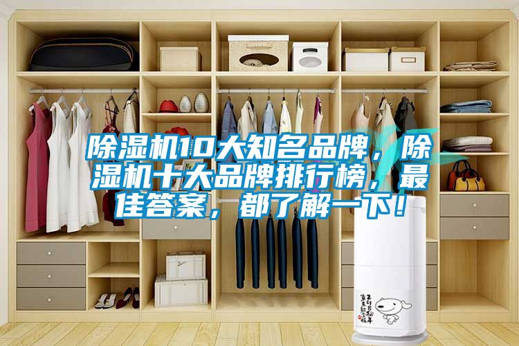 除濕機(jī)10大知名品牌，除濕機(jī)十大品牌排行榜，最佳答案，都了解一下！
