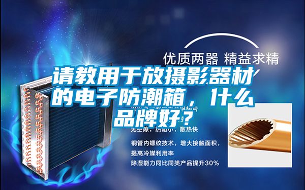 請教用于放攝影器材的電子防潮箱，什么品牌好？