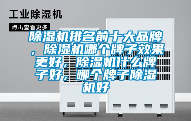 除濕機(jī)排名前十大品牌，除濕機(jī)哪個(gè)牌子效果更好，除濕機(jī)什么牌子好，哪個(gè)牌子除濕機(jī)好