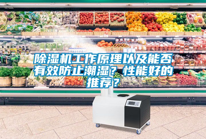 除濕機(jī)工作原理以及能否有效防止潮濕？性能好的推薦？