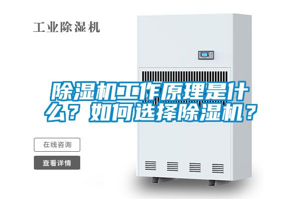 除濕機(jī)工作原理是什么？如何選擇除濕機(jī)？