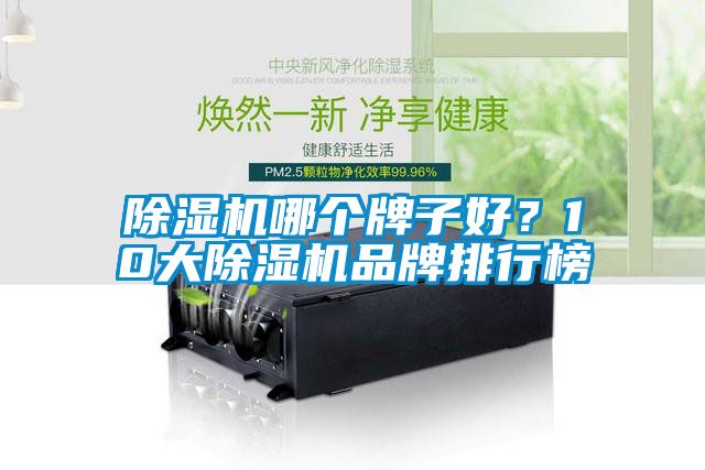 除濕機(jī)哪個(gè)牌子好？10大除濕機(jī)品牌排行榜