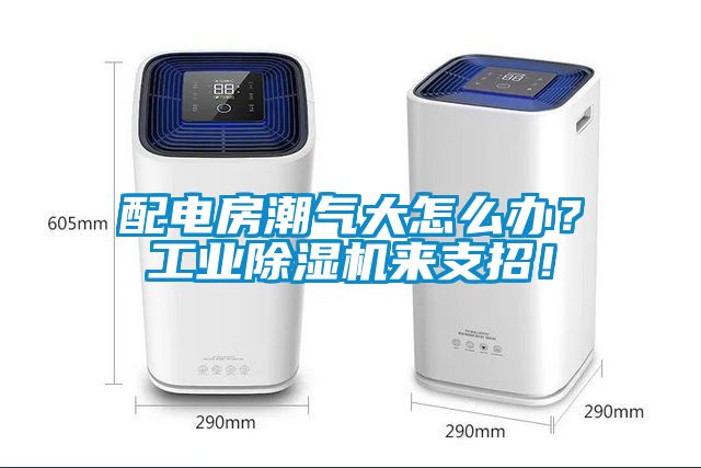 配電房潮氣大怎么辦？工業(yè)除濕機(jī)來支招！