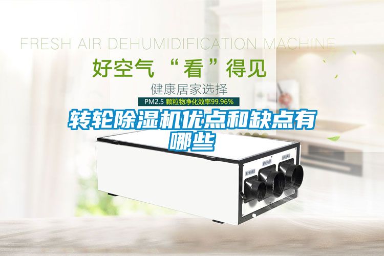 轉輪除濕機優(yōu)點和缺點有哪些