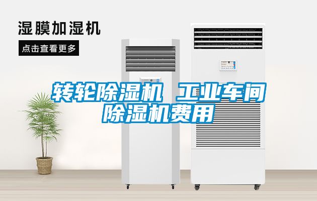 轉(zhuǎn)輪除濕機(jī) 工業(yè)車(chē)間除濕機(jī)費(fèi)用