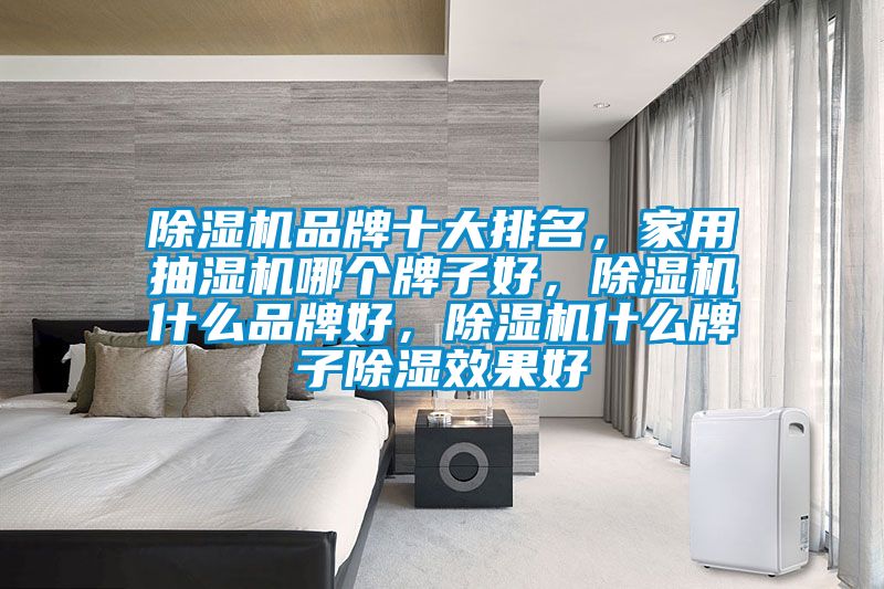 除濕機(jī)品牌十大排名，家用抽濕機(jī)哪個(gè)牌子好，除濕機(jī)什么品牌好，除濕機(jī)什么牌子除濕效果好