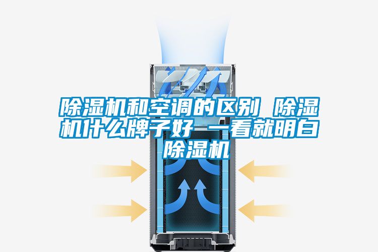 除濕機和空調(diào)的區(qū)別 除濕機什么牌子好 一看就明白 除濕機