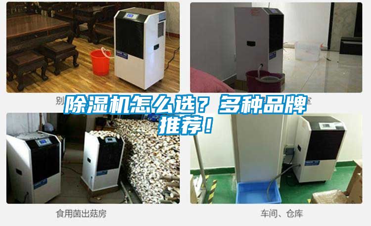 除濕機(jī)怎么選？多種品牌推薦！