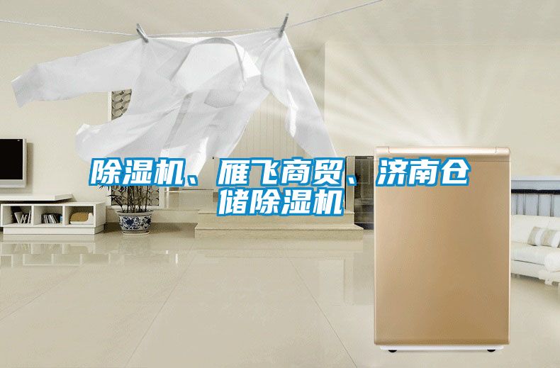 除濕機、雁飛商貿(mào)、濟南倉儲除濕機