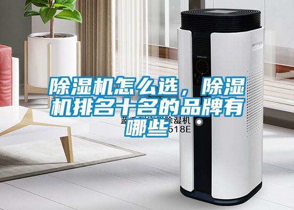 除濕機(jī)怎么選，除濕機(jī)排名十名的品牌有哪些