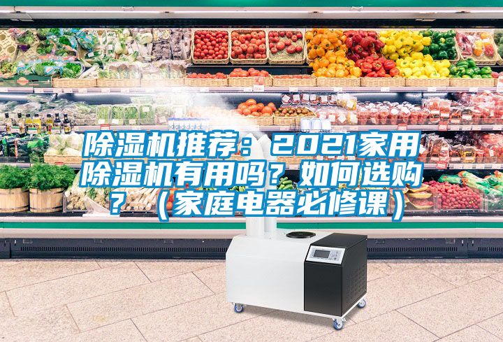 除濕機(jī)推薦：2021家用除濕機(jī)有用嗎？如何選購？（家庭電器必修課）