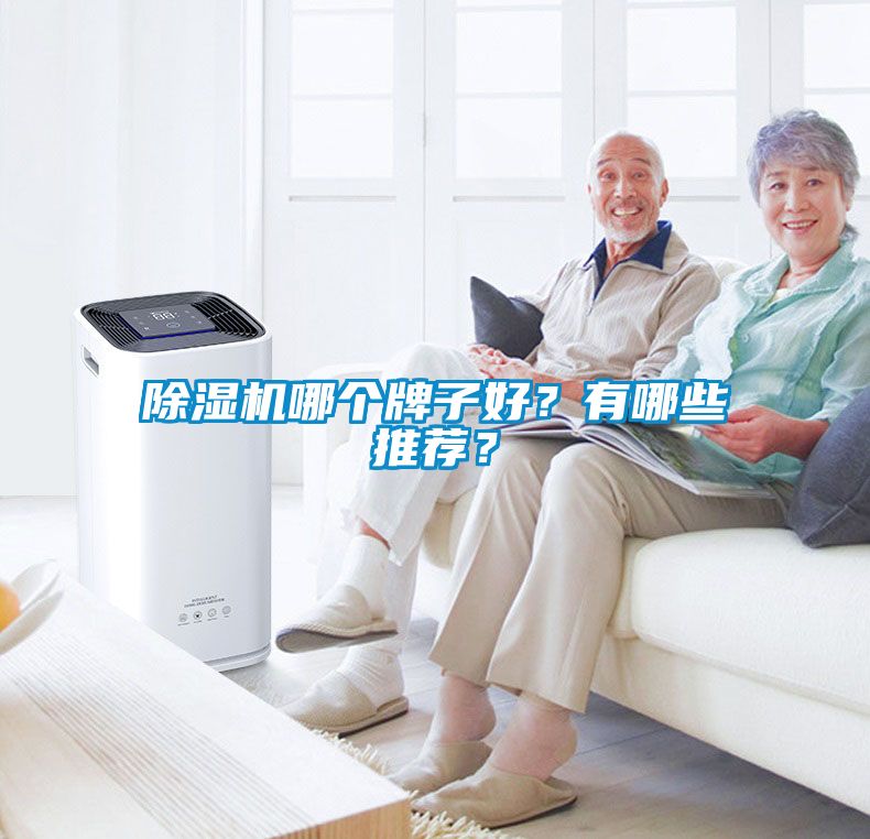 除濕機(jī)哪個(gè)牌子好？有哪些推薦？