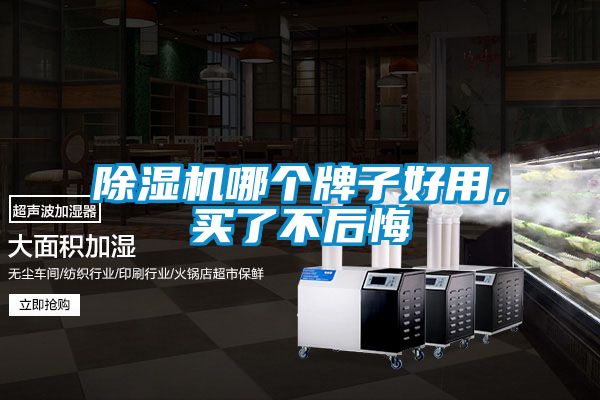 除濕機哪個牌子好用，買了不后悔