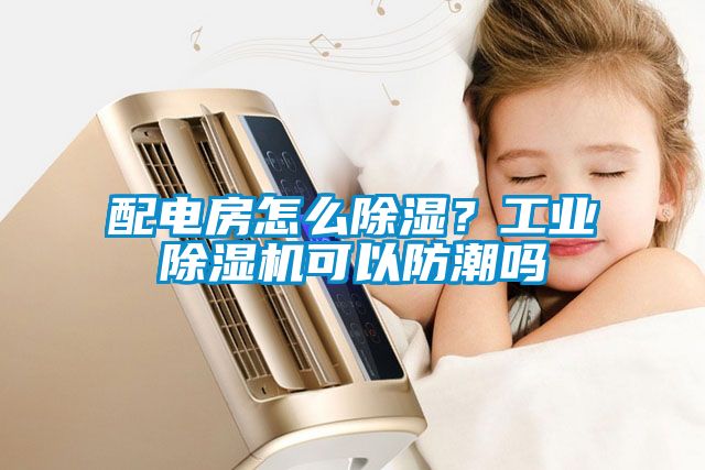 配電房怎么除濕？工業(yè)除濕機(jī)可以防潮嗎