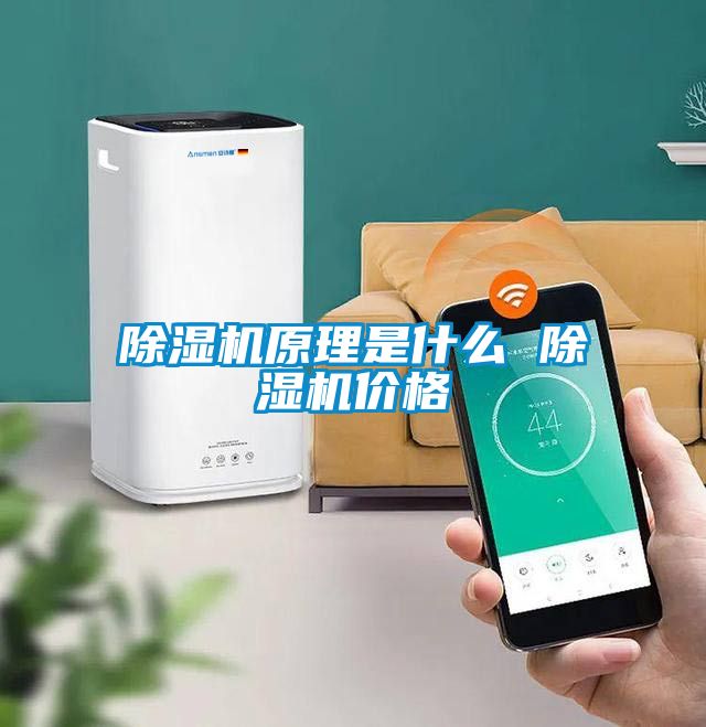 除濕機(jī)原理是什么 除濕機(jī)價格