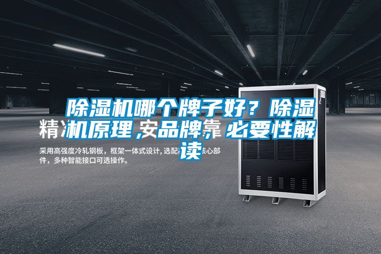 除濕機哪個牌子好？除濕機原理，品牌，必要性解讀