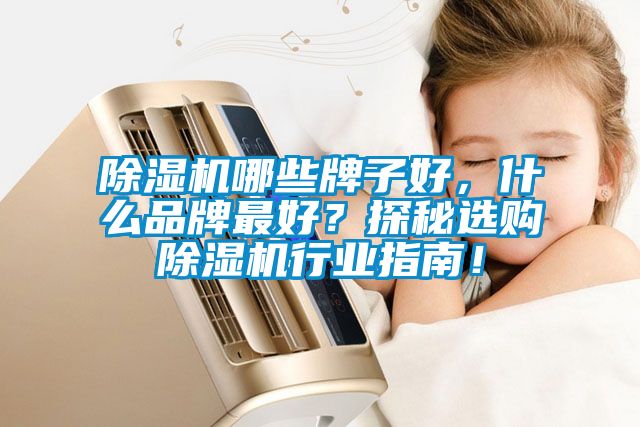 除濕機(jī)哪些牌子好，什么品牌最好？探秘選購除濕機(jī)行業(yè)指南！