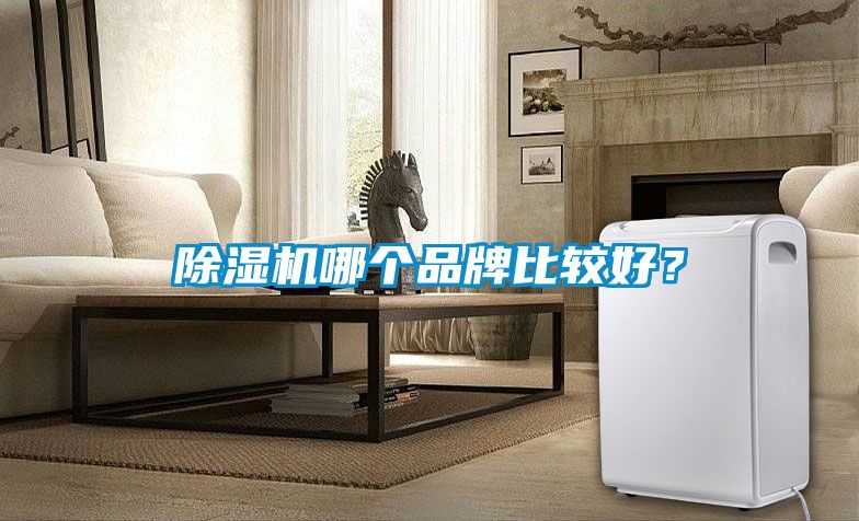 除濕機(jī)哪個(gè)品牌比較好？