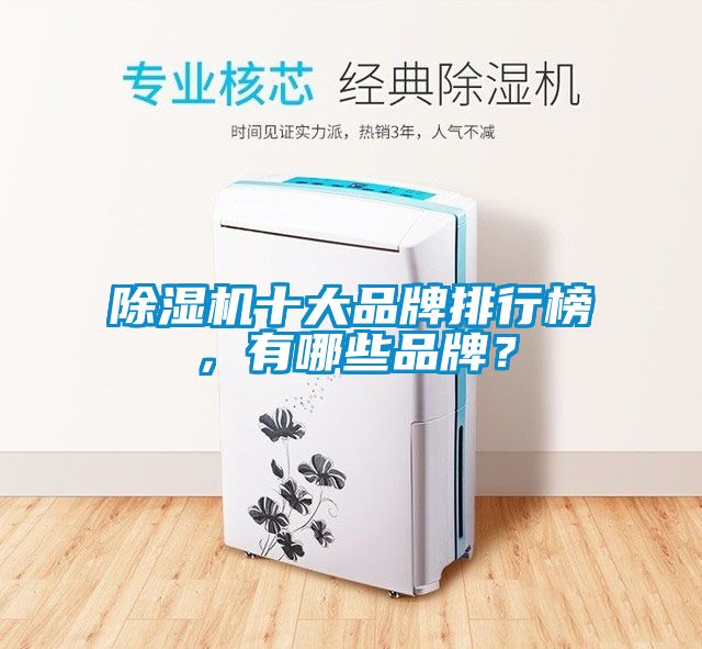 除濕機十大品牌排行榜，有哪些品牌？