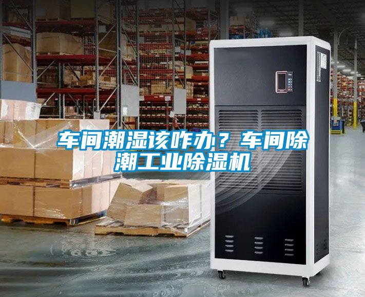 車間潮濕該咋辦？車間除潮工業(yè)除濕機