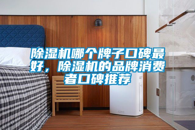除濕機(jī)哪個(gè)牌子口碑最好，除濕機(jī)的品牌消費(fèi)者口碑推薦