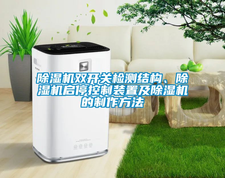 除濕機(jī)雙開關(guān)檢測(cè)結(jié)構(gòu)、除濕機(jī)啟?？刂蒲b置及除濕機(jī)的制作方法