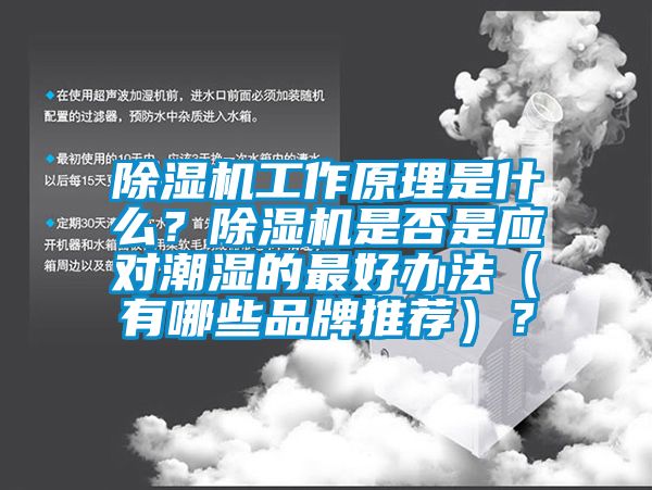 除濕機(jī)工作原理是什么？除濕機(jī)是否是應(yīng)對潮濕的最好辦法（有哪些品牌推薦）？
