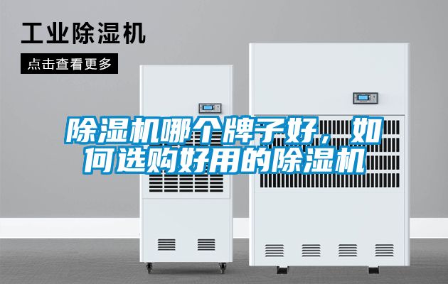 除濕機哪個牌子好，如何選購好用的除濕機