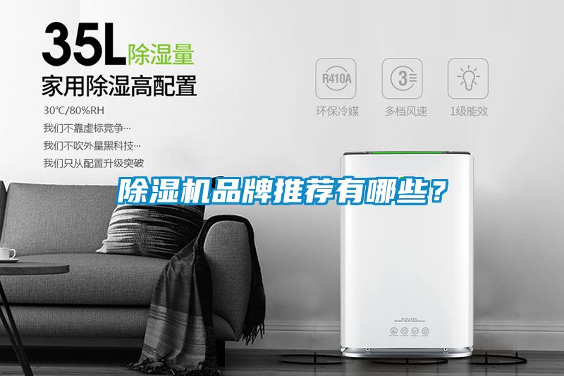 除濕機(jī)品牌推薦有哪些？