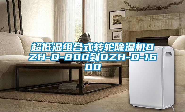 超低濕組合式轉(zhuǎn)輪除濕機DZH-D-800到DZH-D-1600