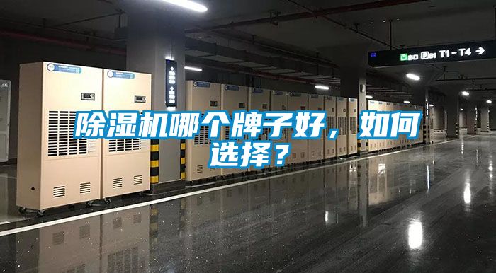 除濕機哪個牌子好，如何選擇？