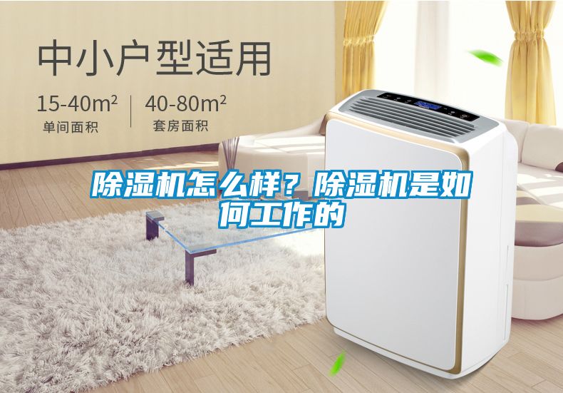 除濕機(jī)怎么樣？除濕機(jī)是如何工作的