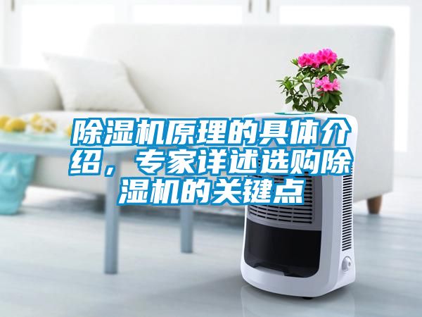 除濕機(jī)原理的具體介紹，專家詳述選購(gòu)除濕機(jī)的關(guān)鍵點(diǎn)
