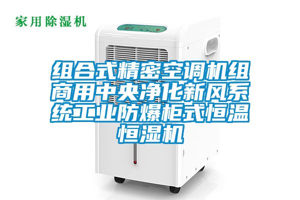 組合式精密空調(diào)機組商用中央凈化新風(fēng)系統(tǒng)工業(yè)防爆柜式恒溫恒濕機