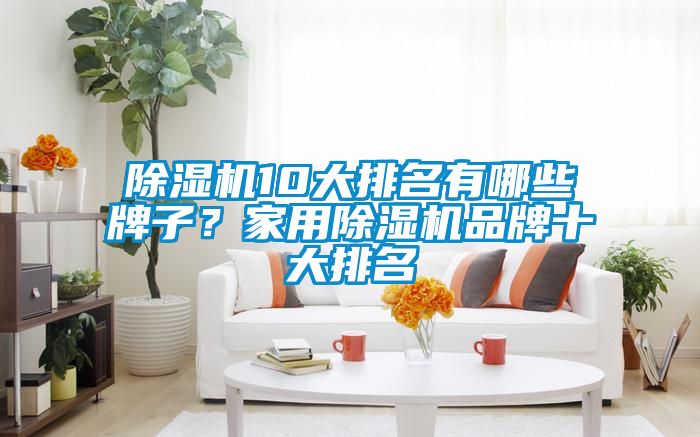 除濕機(jī)10大排名有哪些牌子？家用除濕機(jī)品牌十大排名