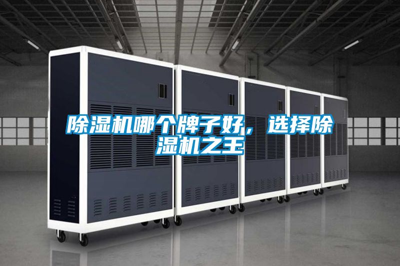 除濕機哪個牌子好，選擇除濕機之王