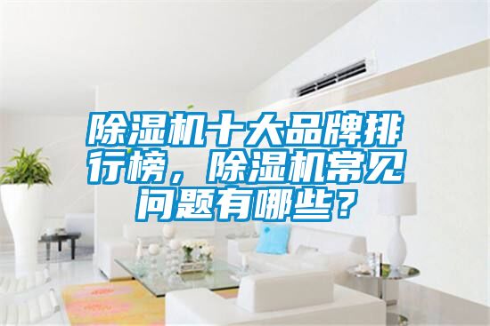 除濕機十大品牌排行榜，除濕機常見問題有哪些？
