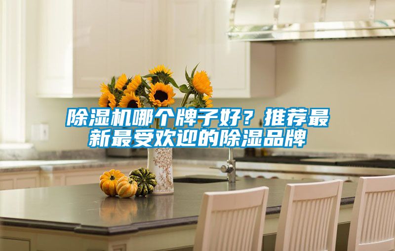 除濕機(jī)哪個(gè)牌子好？推薦最新最受歡迎的除濕品牌