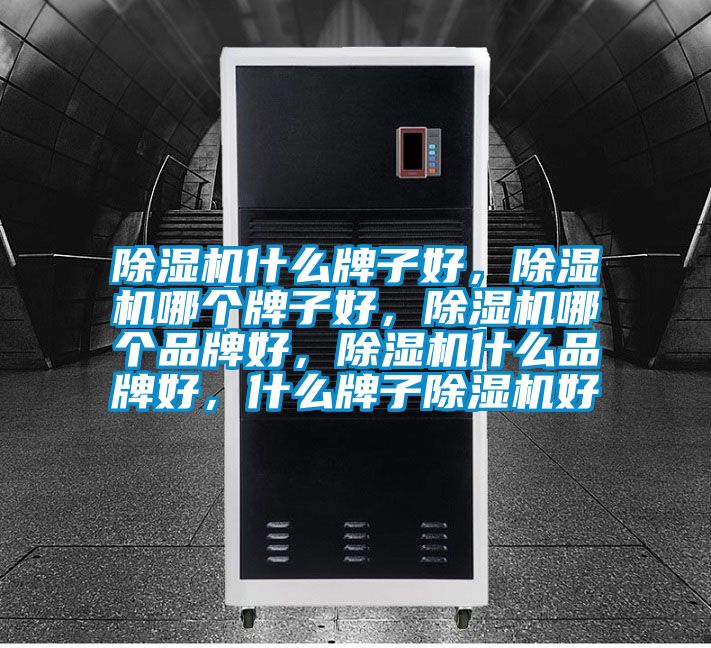 除濕機(jī)什么牌子好，除濕機(jī)哪個(gè)牌子好，除濕機(jī)哪個(gè)品牌好，除濕機(jī)什么品牌好，什么牌子除濕機(jī)好