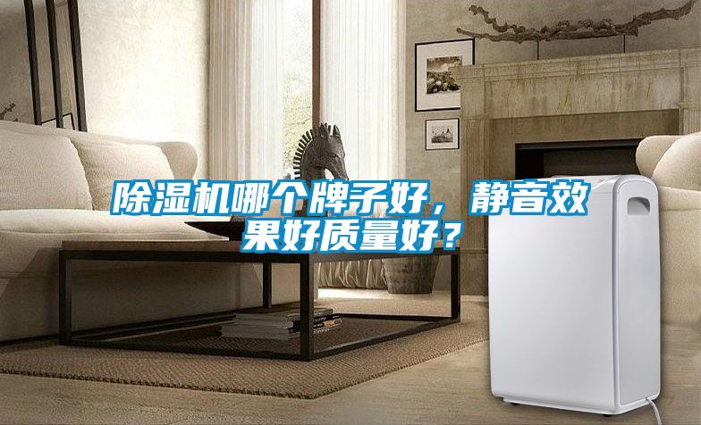 除濕機哪個牌子好，靜音效果好質(zhì)量好？