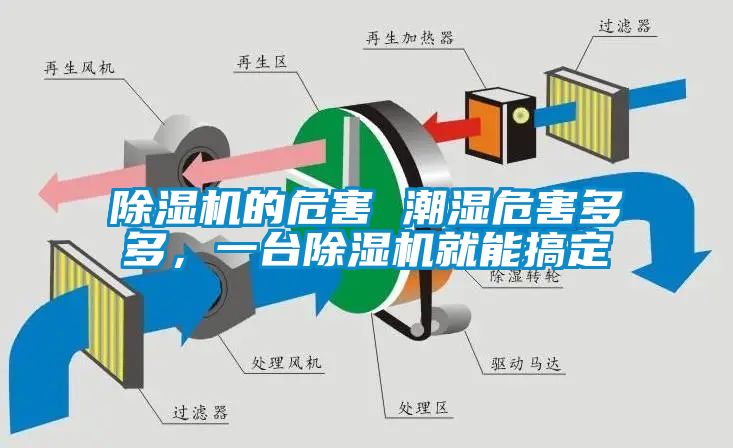 除濕機(jī)的危害 潮濕危害多多，一臺除濕機(jī)就能搞定