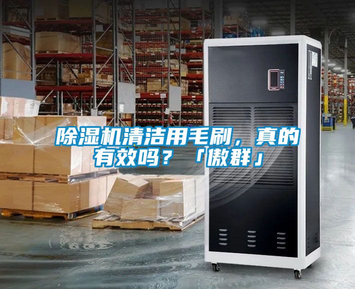 除濕機清潔用毛刷，真的有效嗎？「傲群」