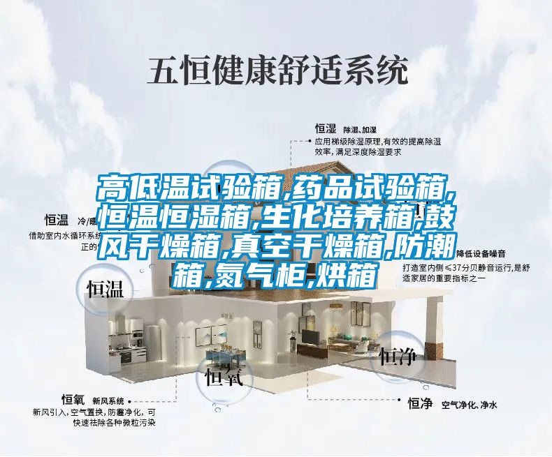 高低溫試驗箱,藥品試驗箱,恒溫恒濕箱,生化培養(yǎng)箱,鼓風(fēng)干燥箱,真空干燥箱,防潮箱,氮氣柜,烘箱