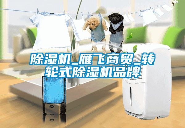 除濕機_雁飛商貿(mào)_轉(zhuǎn)輪式除濕機品牌