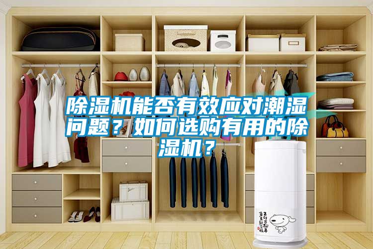 除濕機(jī)能否有效應(yīng)對潮濕問題？如何選購有用的除濕機(jī)？