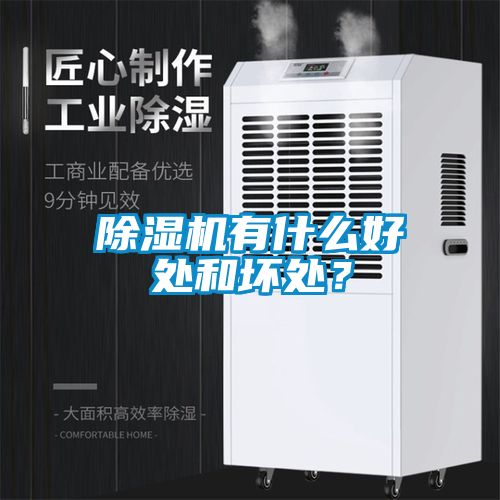 除濕機有什么好處和壞處？