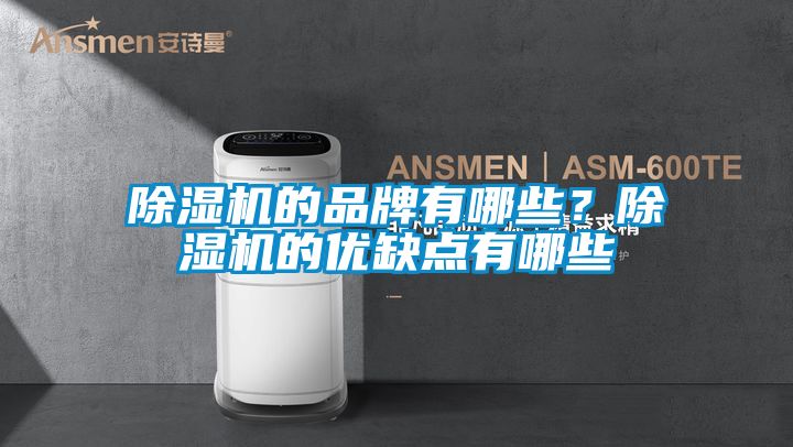 除濕機(jī)的品牌有哪些？除濕機(jī)的優(yōu)缺點(diǎn)有哪些