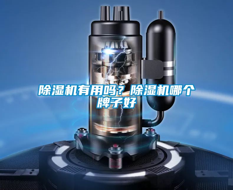 除濕機有用嗎？除濕機哪個牌子好